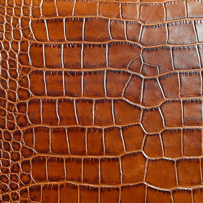 6 crocodile leather