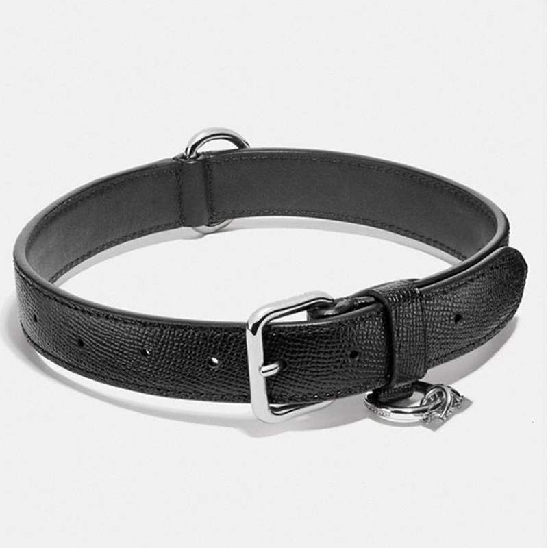 collar-and-leash-set1-5