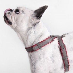 dog-harness1-9